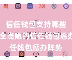 信任钱包支持哪些币 安全浅陋的信任钱包惩办阵势